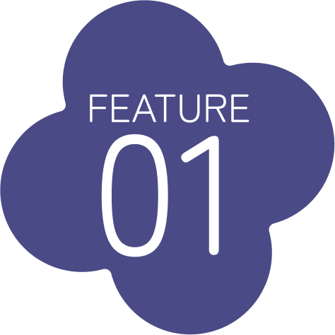 FEATURE
