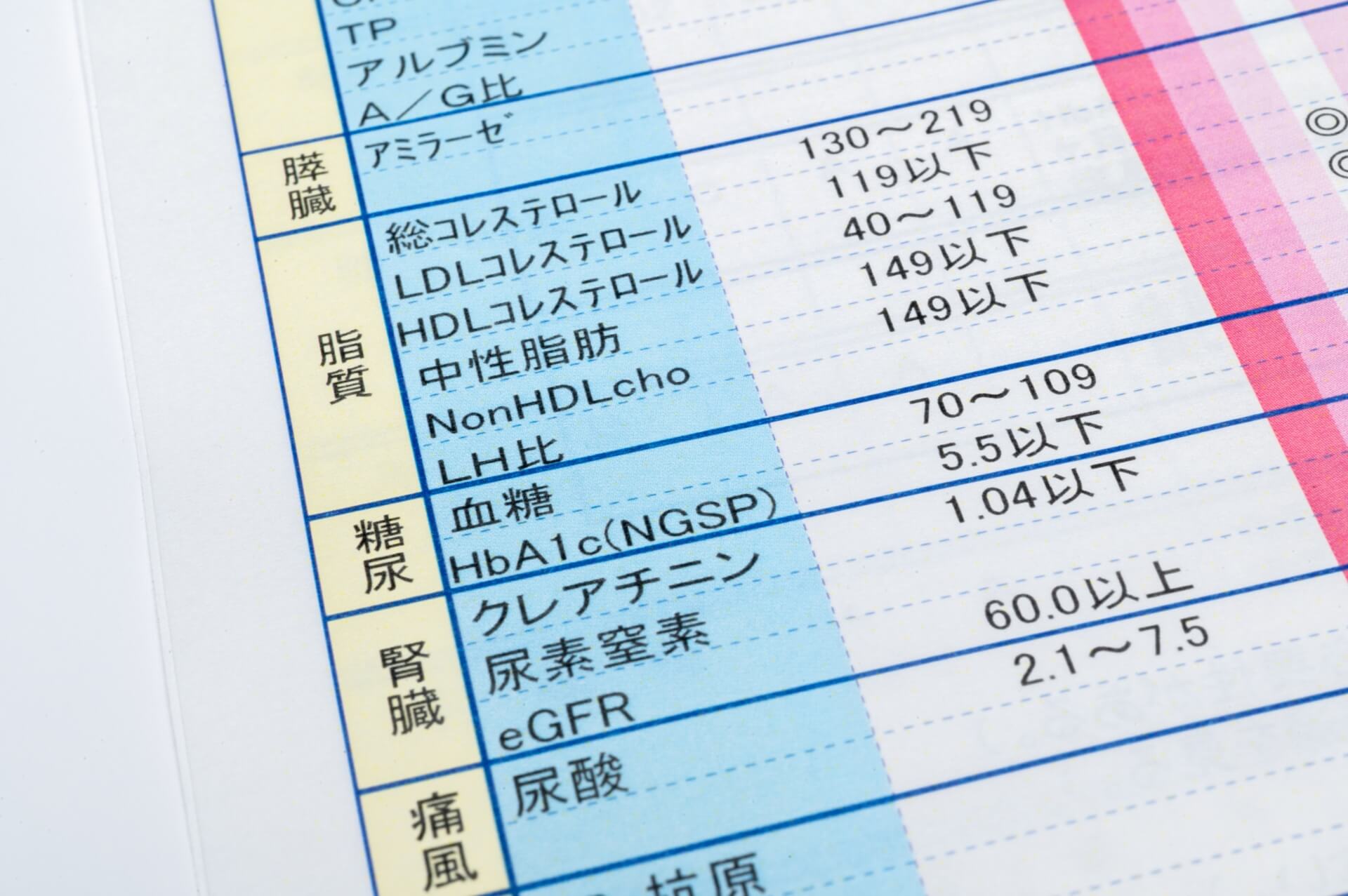 西園内科クリニック